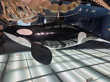 名古屋港水族館に投稿された画像（2026/8/17）