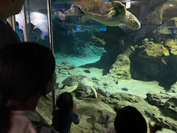 名古屋港水族館に投稿された画像（2026/8/17）