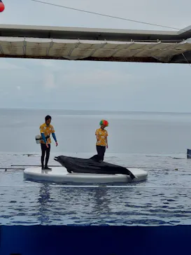 上越市立水族博物館 うみがたりに投稿された画像（2026/8/17）