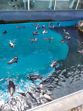 上越市立水族博物館 うみがたりに投稿された画像（2026/8/17）