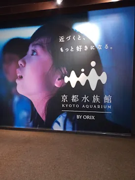 京都水族館に投稿された画像（2026/8/17）