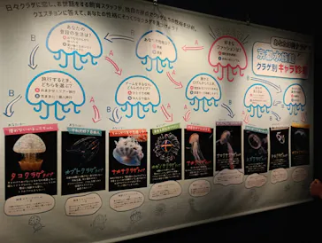 京都水族館に投稿された画像（2026/8/17）