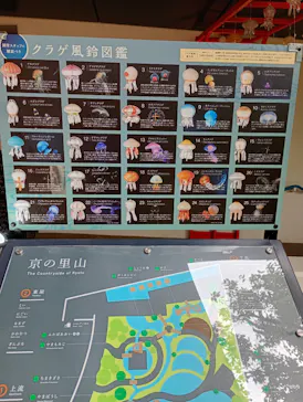 京都水族館に投稿された画像（2026/8/17）