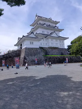 小田原城に投稿された画像（2026/8/17）