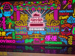 うんこミュージアム OKINAWAに投稿された画像（2026/8/17）