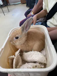 東武動物公園に投稿された画像（2026/8/17）