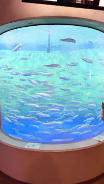 しながわ水族館に投稿された画像（2026/8/17）