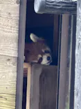 千葉市動物公園に投稿された画像（2026/8/17）
