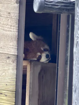 千葉市動物公園に投稿された画像（2026/8/17）