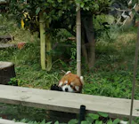 天王寺動物園に投稿された画像（2026/8/17）