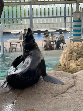 京都水族館に投稿された画像（2026/8/17）