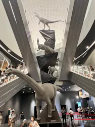 福井県立恐竜博物館に投稿された画像（2026/8/17）