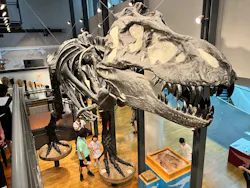 福井県立恐竜博物館に投稿された画像（2026/8/17）