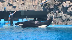 名古屋港水族館に投稿された画像（2026/8/17）