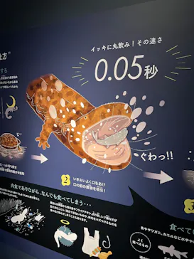 京都水族館に投稿された画像（2026/8/17）