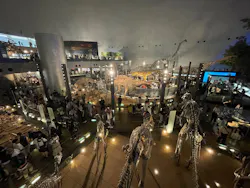 福井県立恐竜博物館に投稿された画像（2026/8/17）