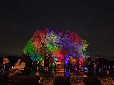 東京 星空と光の夏祭り（開催日：8月8日～16日）に投稿された画像（2026/8/17）