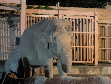 日立市かみね動物園に投稿された画像（2026/8/17）