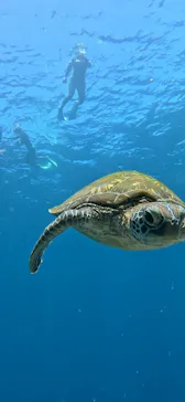 マーレ石垣島に投稿された画像（2026/8/17）