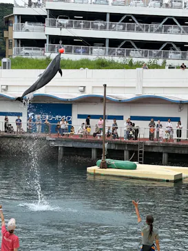 伊豆・三津シーパラダイスに投稿された画像（2026/8/17）