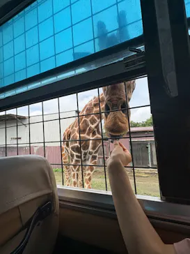 那須サファリパークに投稿された画像（2026/8/17）