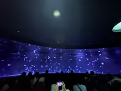 サンシャイン水族館に投稿された画像（2026/8/17）