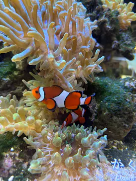 京都水族館に投稿された画像（2026/8/17）