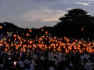 東京 星空と光の夏祭り（開催日：8月8日～16日）に投稿された画像（2026/8/17）