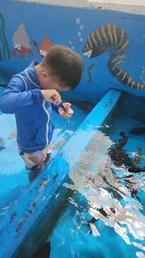 越前松島水族館に投稿された画像（2026/8/17）
