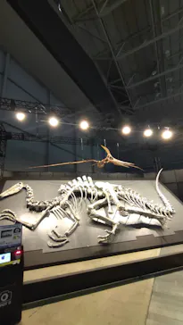 ヨコハマ恐竜展２０２６～恐竜の食卓大図鑑～に投稿された画像（2026/8/17）