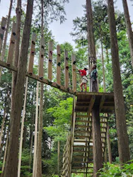 フォレストアドベンチャー・栗東に投稿された画像（2026/8/17）
