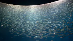 名古屋港水族館に投稿された画像（2026/8/17）