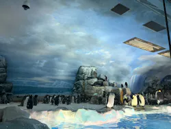 名古屋港水族館に投稿された画像（2026/8/17）
