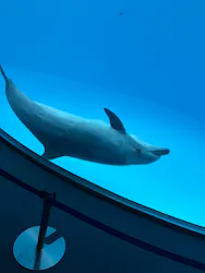 名古屋港水族館に投稿された画像（2026/8/17）