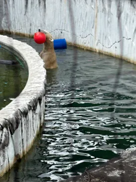 名古屋市東山動植物園に投稿された画像（2026/8/17）