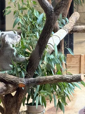 名古屋市東山動植物園に投稿された画像（2026/8/17）