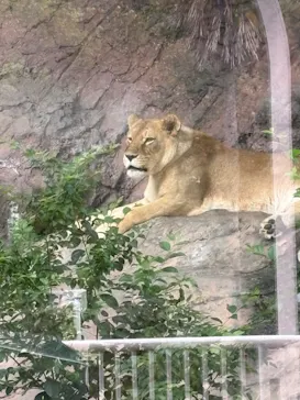 名古屋市東山動植物園に投稿された画像（2026/8/17）