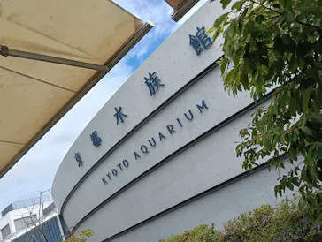京都水族館に投稿された画像（2026/8/17）