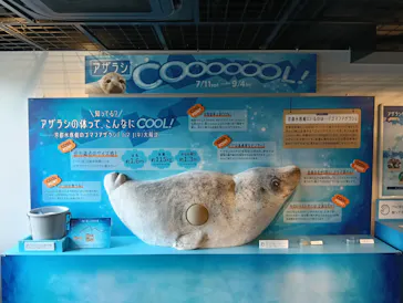 京都水族館に投稿された画像（2026/8/17）
