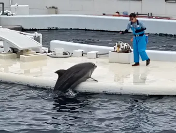 京都水族館に投稿された画像（2026/8/17）
