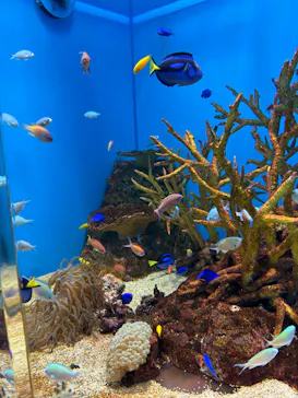 のとじま水族館に投稿された画像（2026/8/17）