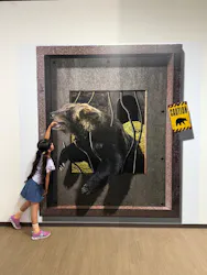 のぼりべつクマ牧場に投稿された画像（2026/8/18）