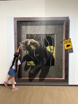 のぼりべつクマ牧場に投稿された画像（2026/8/18）