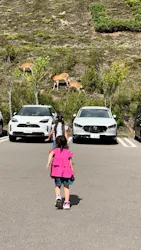 のぼりべつクマ牧場に投稿された画像（2026/8/18）