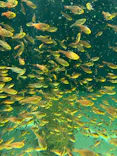 環境水族館アクアマリンふくしまに投稿された画像（2026/8/18）