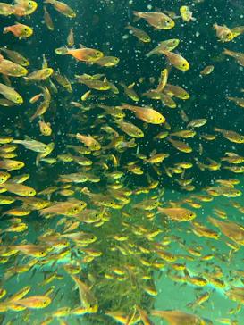 環境水族館アクアマリンふくしまに投稿された画像（2026/8/18）
