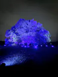 東京 星空と光の夏祭り（開催日：8月8日～16日）に投稿された画像（2026/8/18）