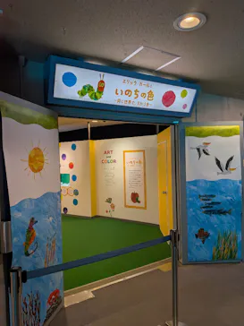 しながわ水族館に投稿された画像（2026/8/18）