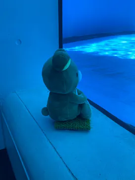 上越市立水族博物館 うみがたりに投稿された画像（2026/8/18）