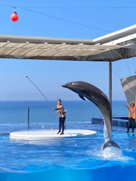 上越市立水族博物館 うみがたりに投稿された画像（2026/8/18）